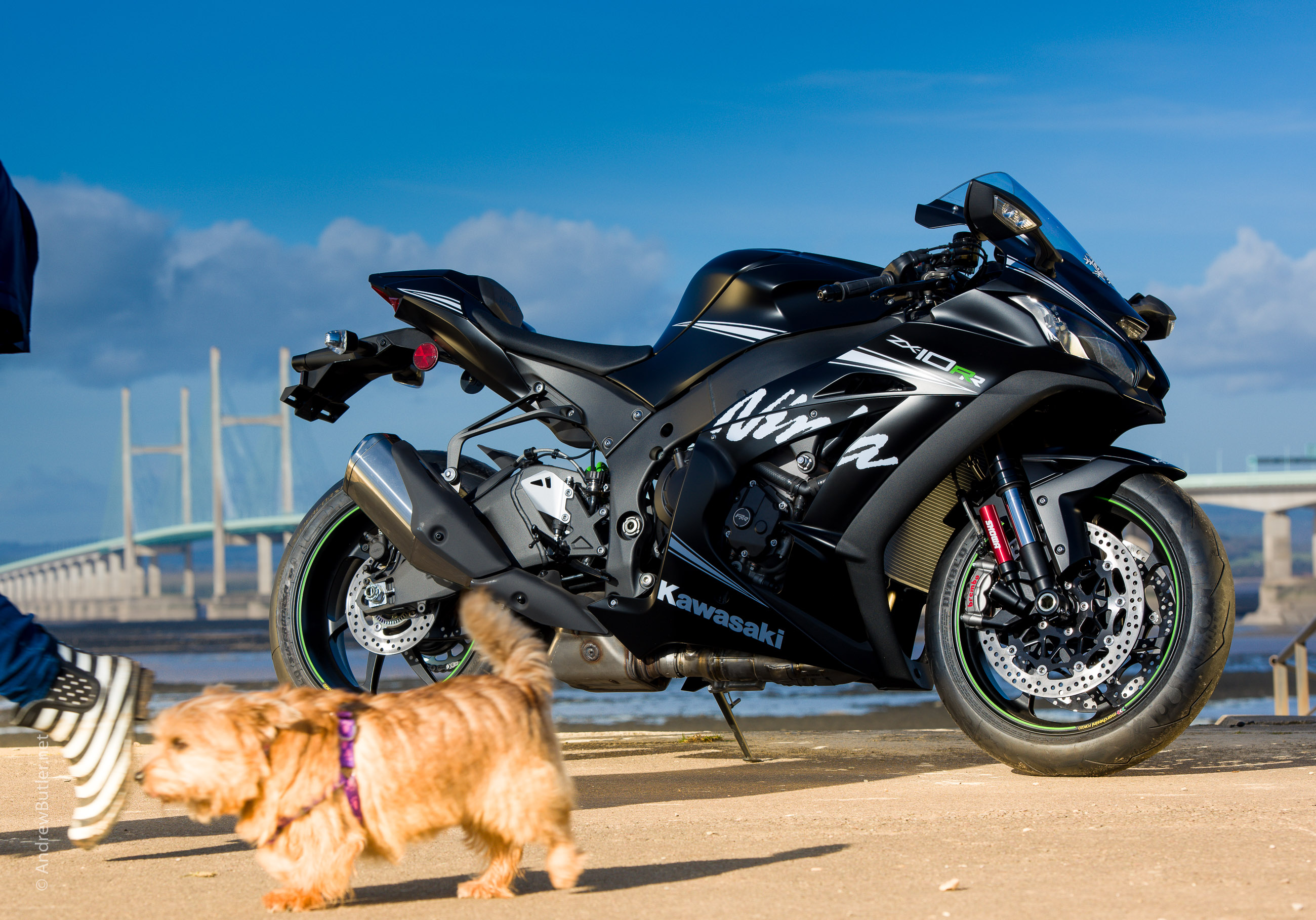 Motorbike photographer
