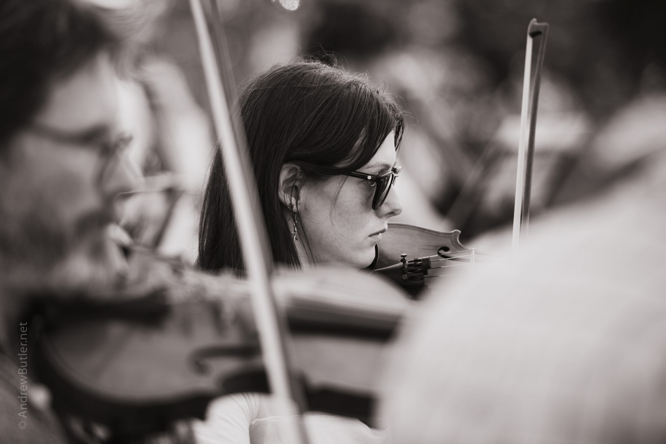 Exeter photographer Music